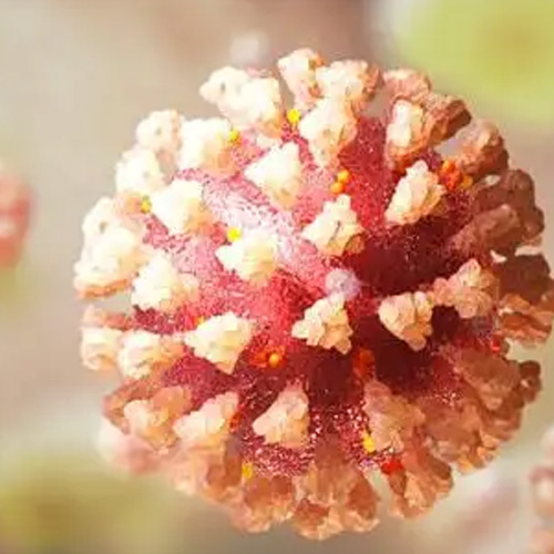 Mga UV Light at Lamp: Ultraviolet-C Radiation, Pagdidisimpekta, at Coronavirus